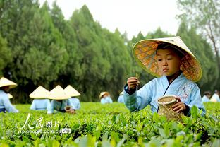 开云国际在线官网入口